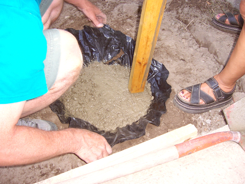 ljcfyi: Cement mushrooms