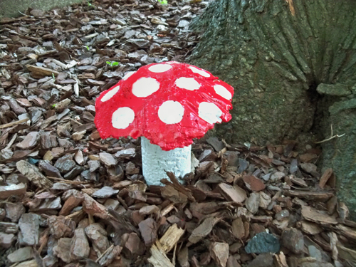 ljcfyi: Cement mushrooms