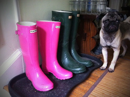 Pug rain outlet boots